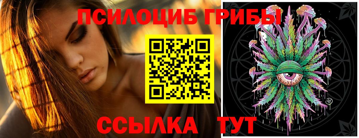 Псилоцибиновые грибы MAGIC MUSHROOMS Россия
