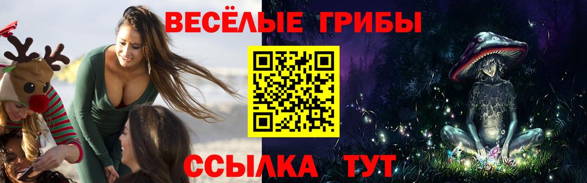 Россия  Галлюциногенные грибы прущие грибы  Вход с VPN  Псилоцибиновые грибы Psilocybine cubensis 